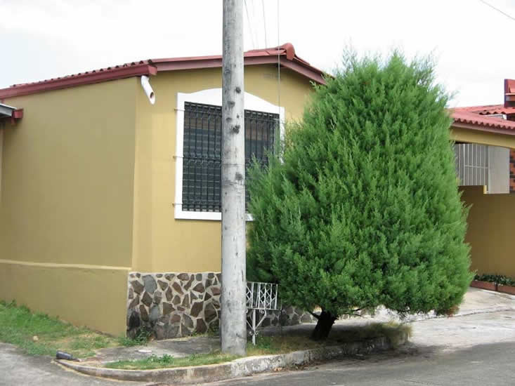 ANTES